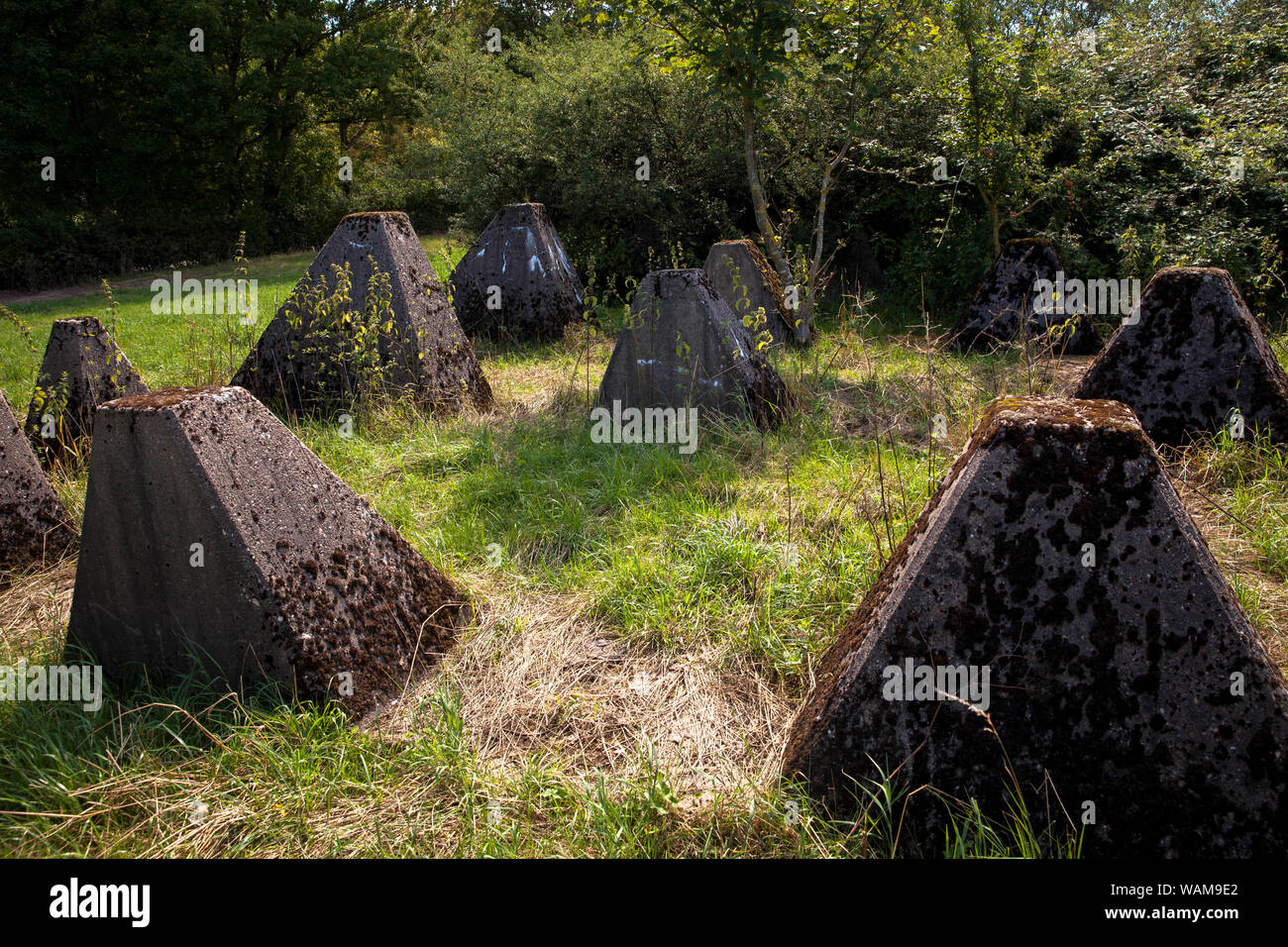 Le trappole del serbatoio della linea Siegfried Schmithof vicino a sud di Aquisgrana, Renania settentrionale-Vestfalia (Germania). Panzersperren des Westwall bei Schmithof im Foto Stock