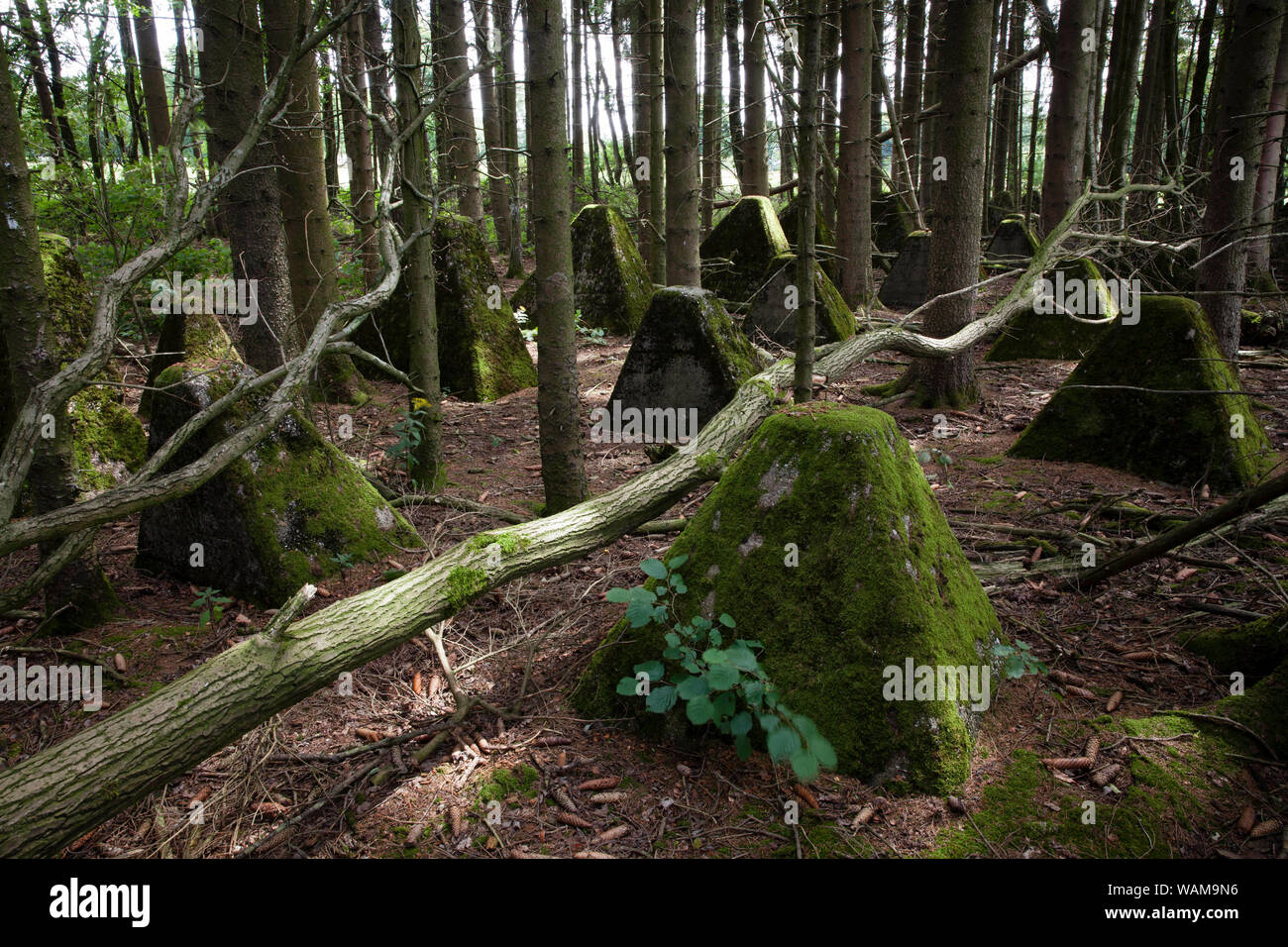 Le trappole del serbatoio della linea Siegfried a sud di Aquisgrana, Renania settentrionale-Vestfalia (Germania). Panzersperren des Westwall suedlich von Aachen, Nordrhein-Westfale Foto Stock