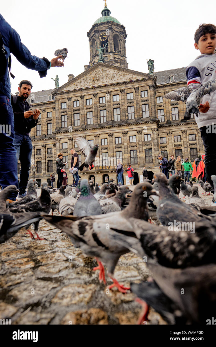 I turisti alimentazione dei piccioni in Piazza Dam nel centro di Amsterdam. Foto Stock