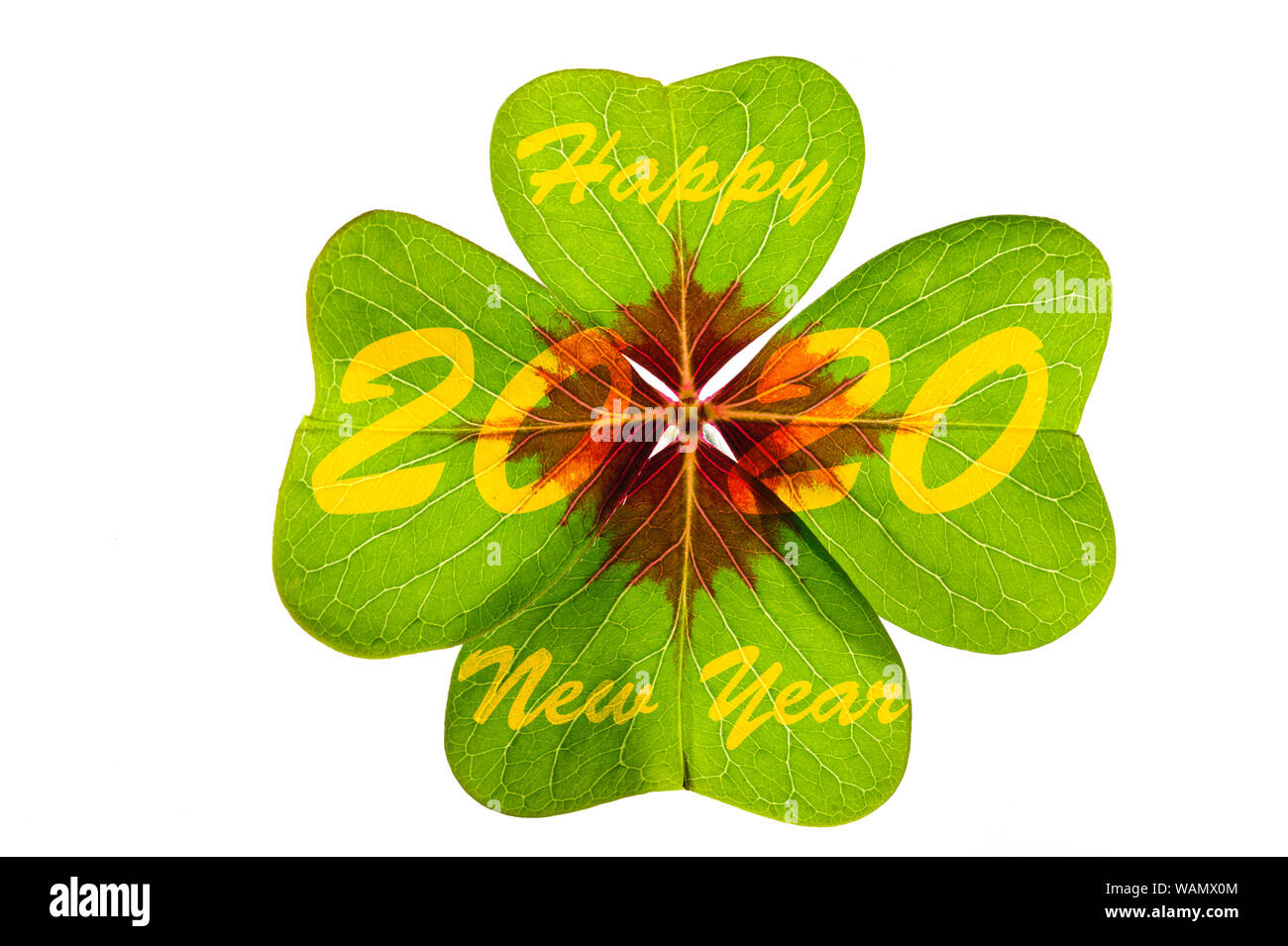 Felice anno nuovo 2020 con foglia di trifoglio Foto Stock