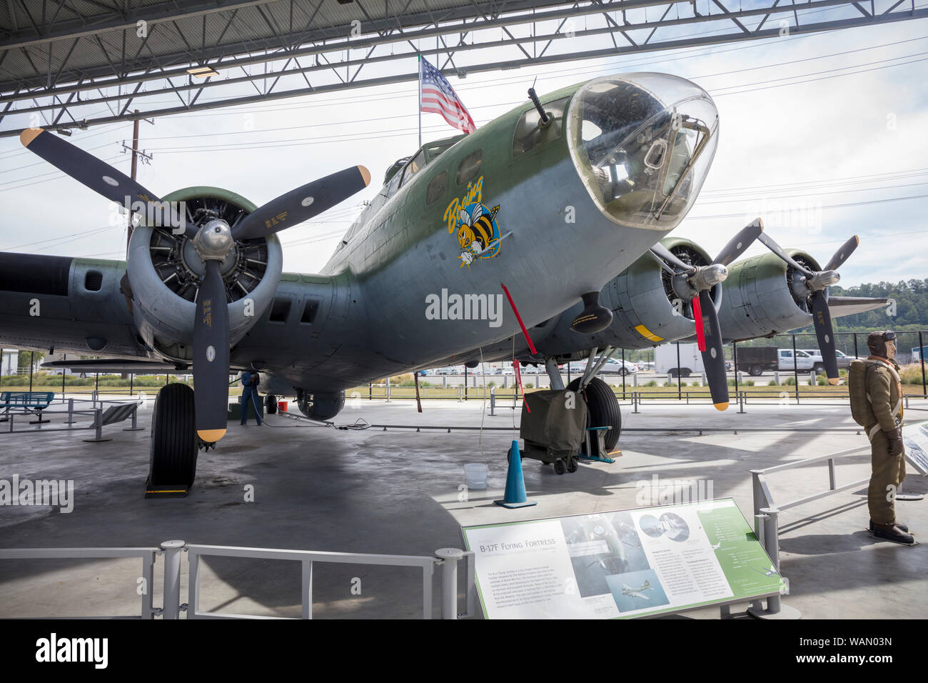 Boeing B-17 Flying Fortress è un quattro bimotore bombardiere pesante Boeing il Museo del Volo, Boeing Field, Tukwila, nello Stato di Washington, USA Foto Stock