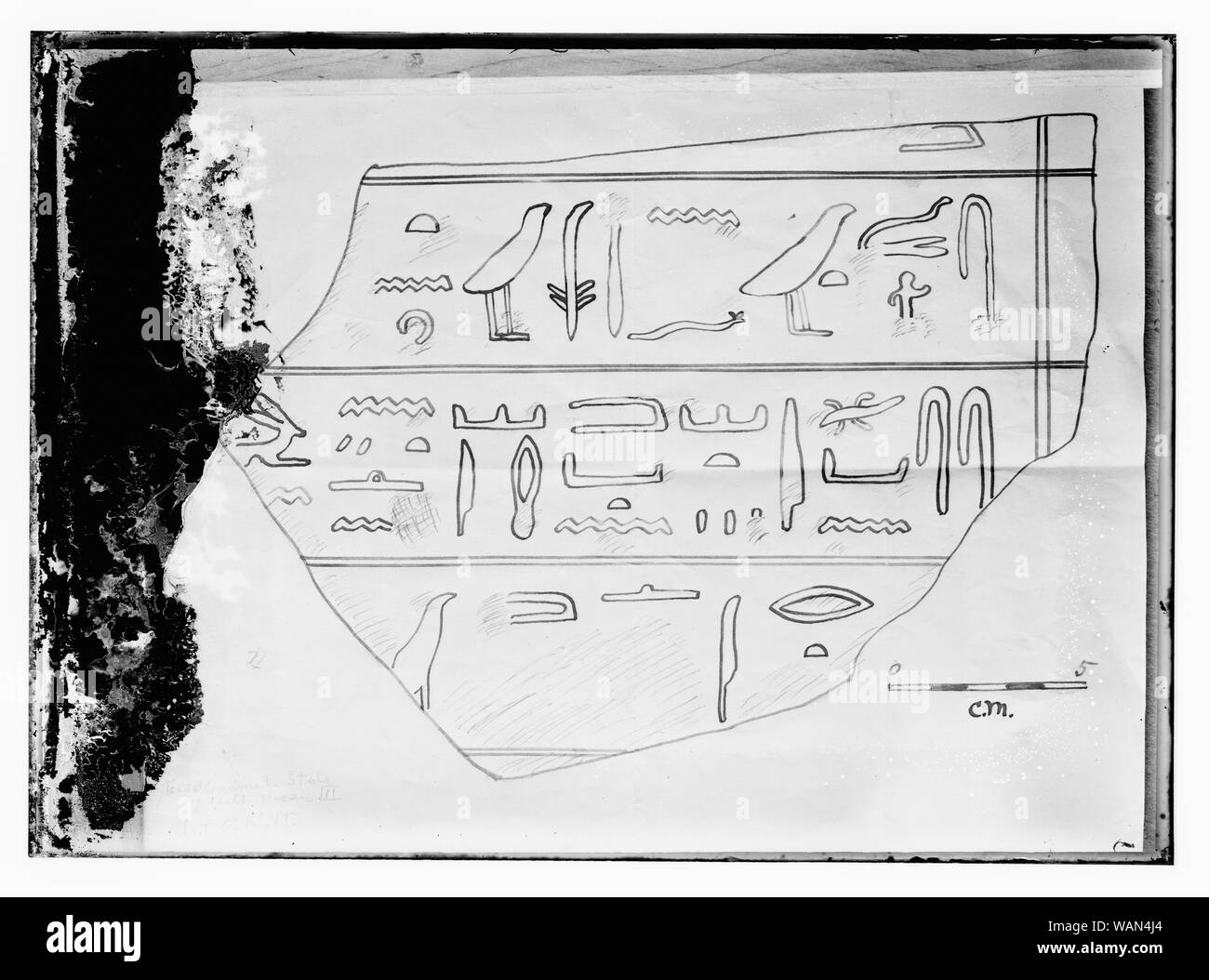 Copia del disegno egiziano di? Geroglifici Foto Stock