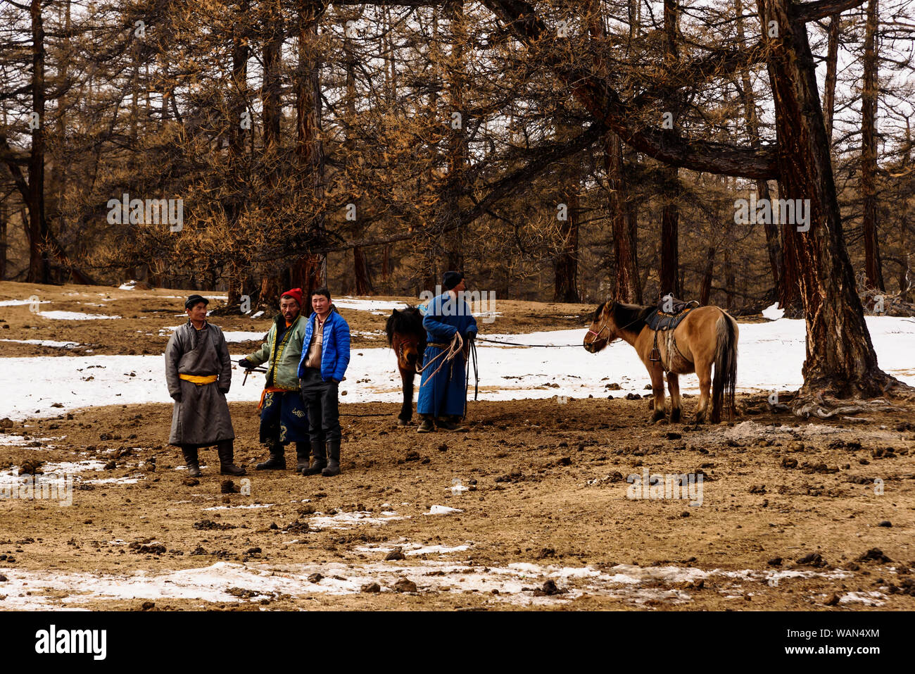 Hatgal, Mongolia, febbraio 26, 2018: quattro uomini in tradizionali clothers mongola e due hourses stand nella foresta Foto Stock