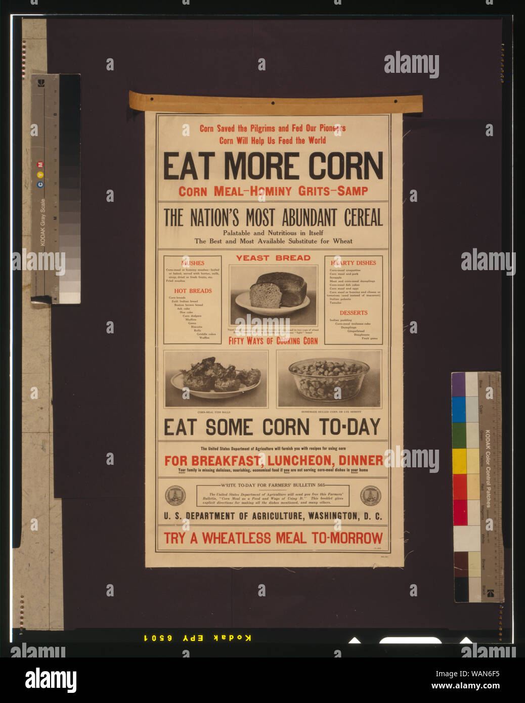 Il mais salvato i pellegrini e alimentato i nostri pionieri--corn ci aiuterà a nutrire il mondo--mangiare più astratta di mais: Poster che illustra alcuni piatti realizzati con mais, includendo lievito pane, corn-pasto polpette di pesce, e in casa mondati o mais lye hominy; testo elenca numerosi piatti a base di mais e offre ricette gratis su richiesta. Foto Stock
