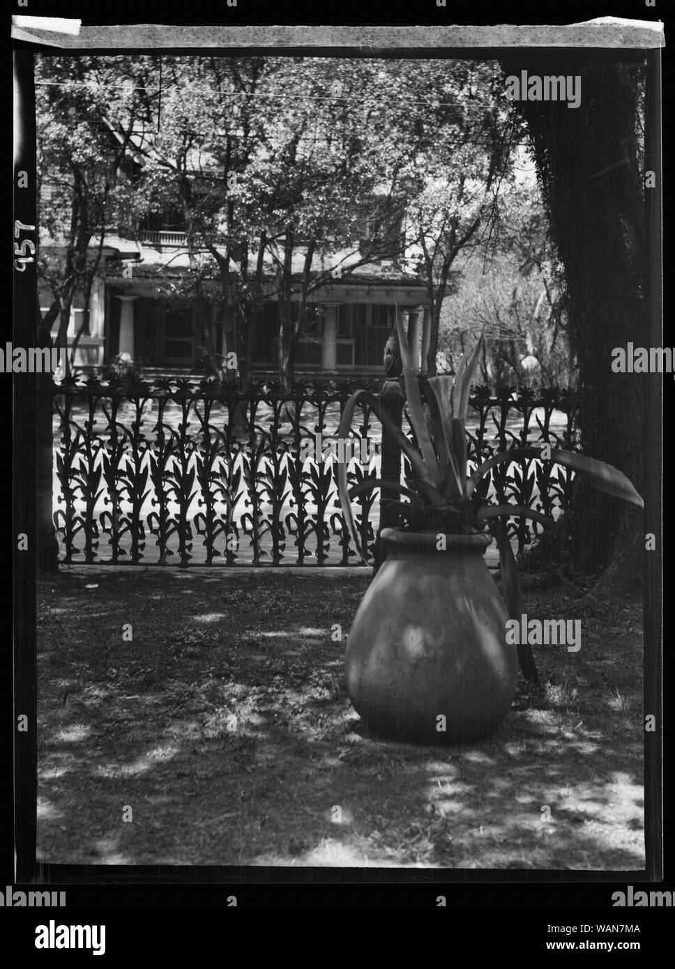Cornstalk ferro battuto recinzione, 1448 4th Street, New Orleans Foto Stock