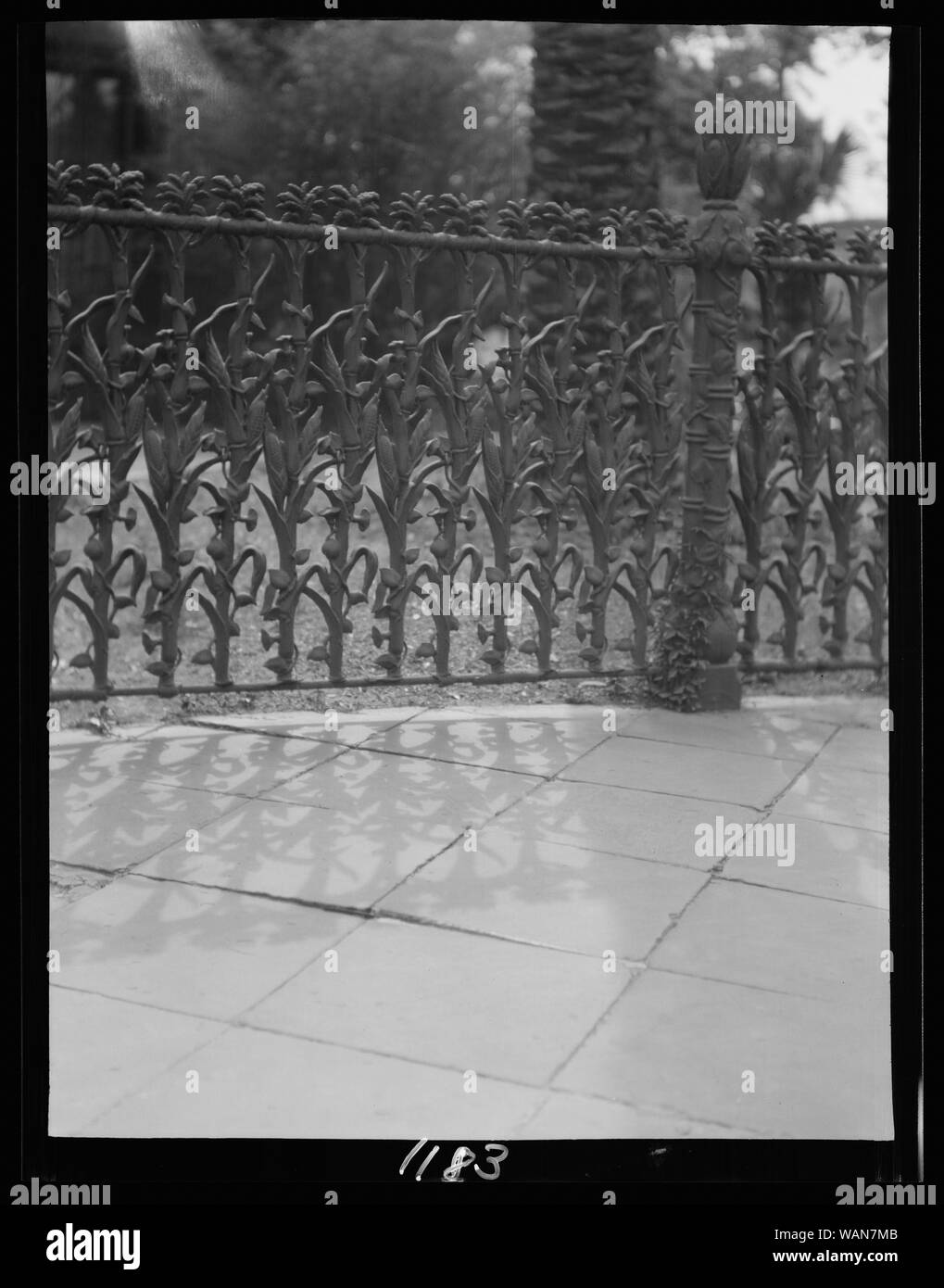 Cornstalk ferro battuto recinzione, 1448 4th Street, New Orleans Foto Stock