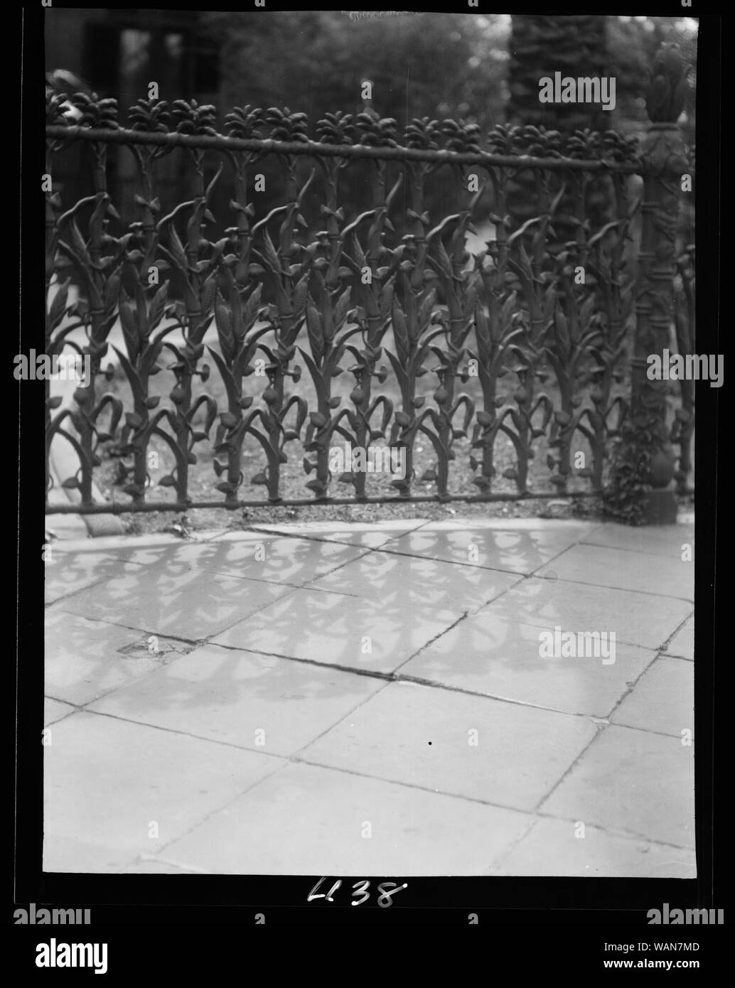 Cornstalk ferro battuto recinzione, 1448 4th Street, New Orleans Foto Stock