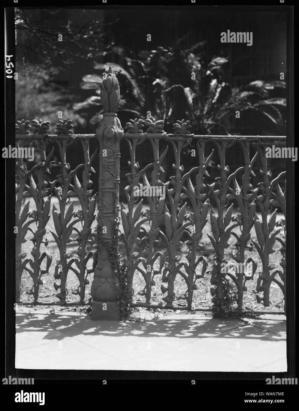 Cornstalk ferro battuto recinzione, 1448 4th Street, New Orleans Foto Stock
