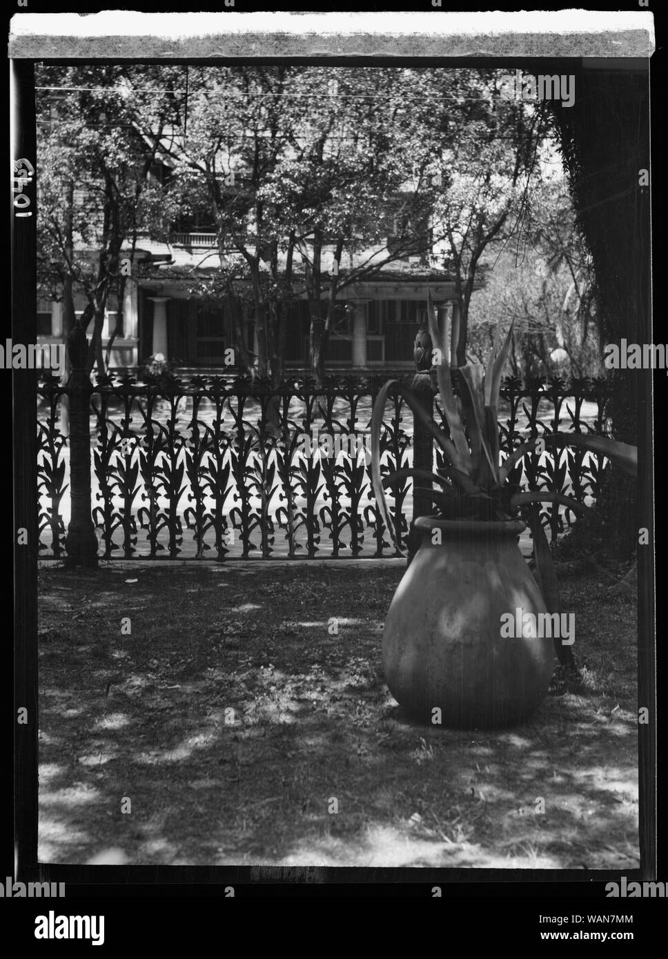 Cornstalk ferro battuto recinzione, 1448 4th Street, New Orleans Foto Stock