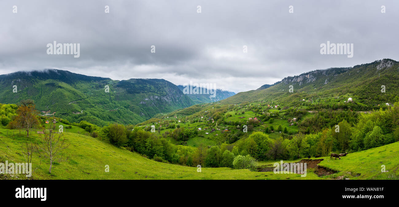 Montenegro, XXL natura paesaggio panorama di bel verde Tara canyon coperto dalla foresta e solo poche case Foto Stock