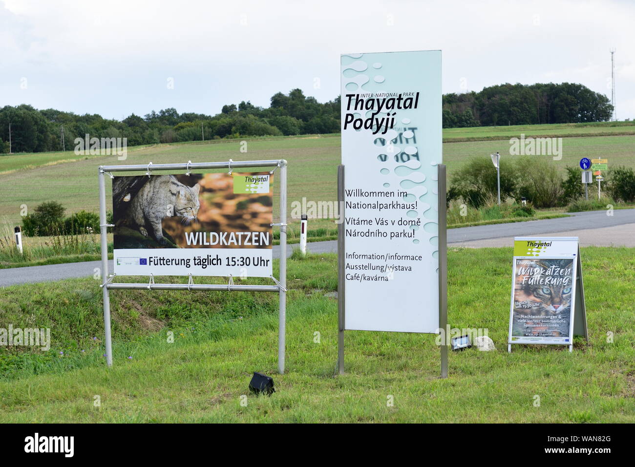 Hardegg, bassa Austria, Austria. Il Parco Nazionale di Thayatal, insieme al parco ceco Národní Podyjí Foto Stock