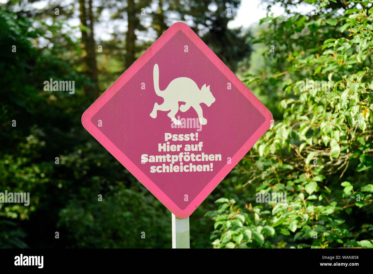 Hardegg, Austria Inferiore, Austria. Il Parco Nazionale Thayatal, insieme con il ceco Národní park Podyjí, garantisce la protezione di uno dei più Foto Stock
