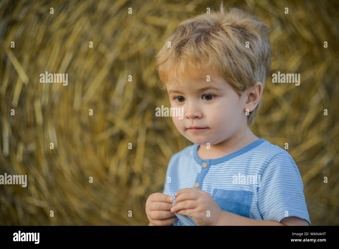 Ragazzo giocare in azienda o campo ranch, vacanze Foto Stock