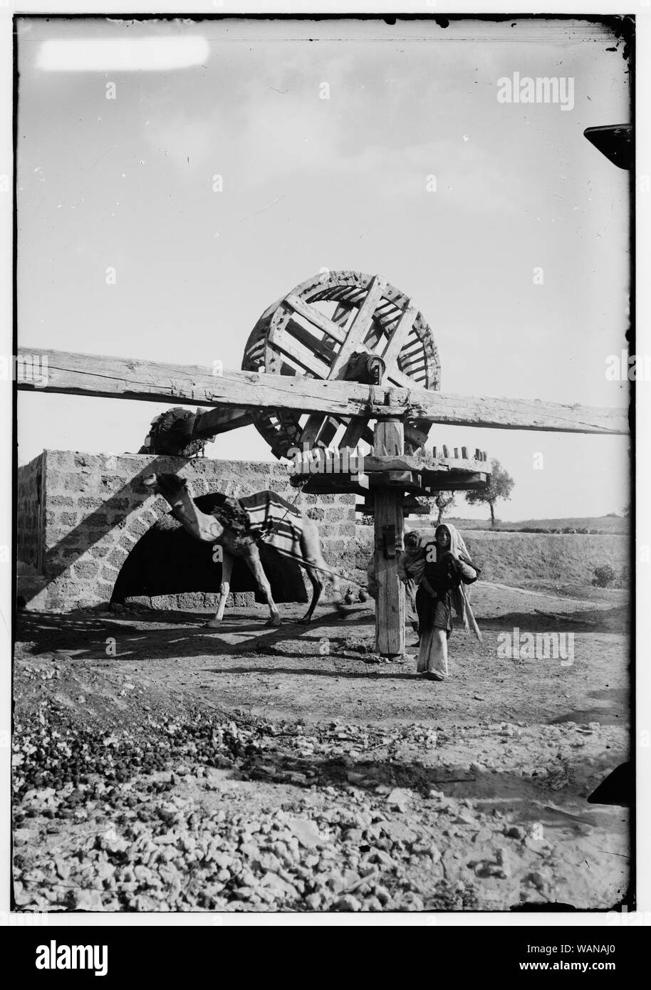 Costumi, caratteri, ecc. Oriental ruota di irrigazione Foto Stock