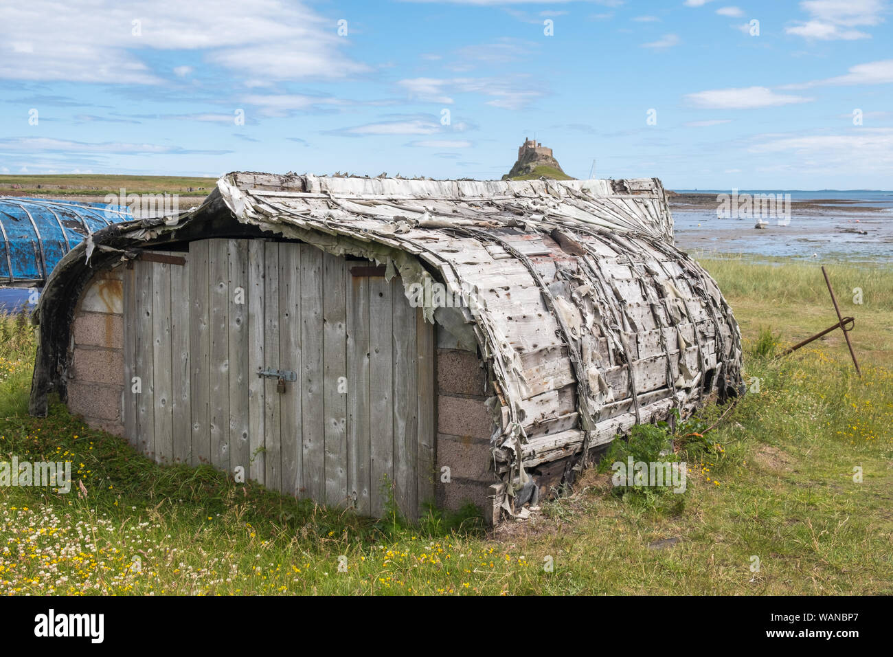 La barca tradizionale getta sul Santo Isola di Lindisfarne in Northumberland, Regno Unito sono realizzati da capovolta barche da pesca Foto Stock
