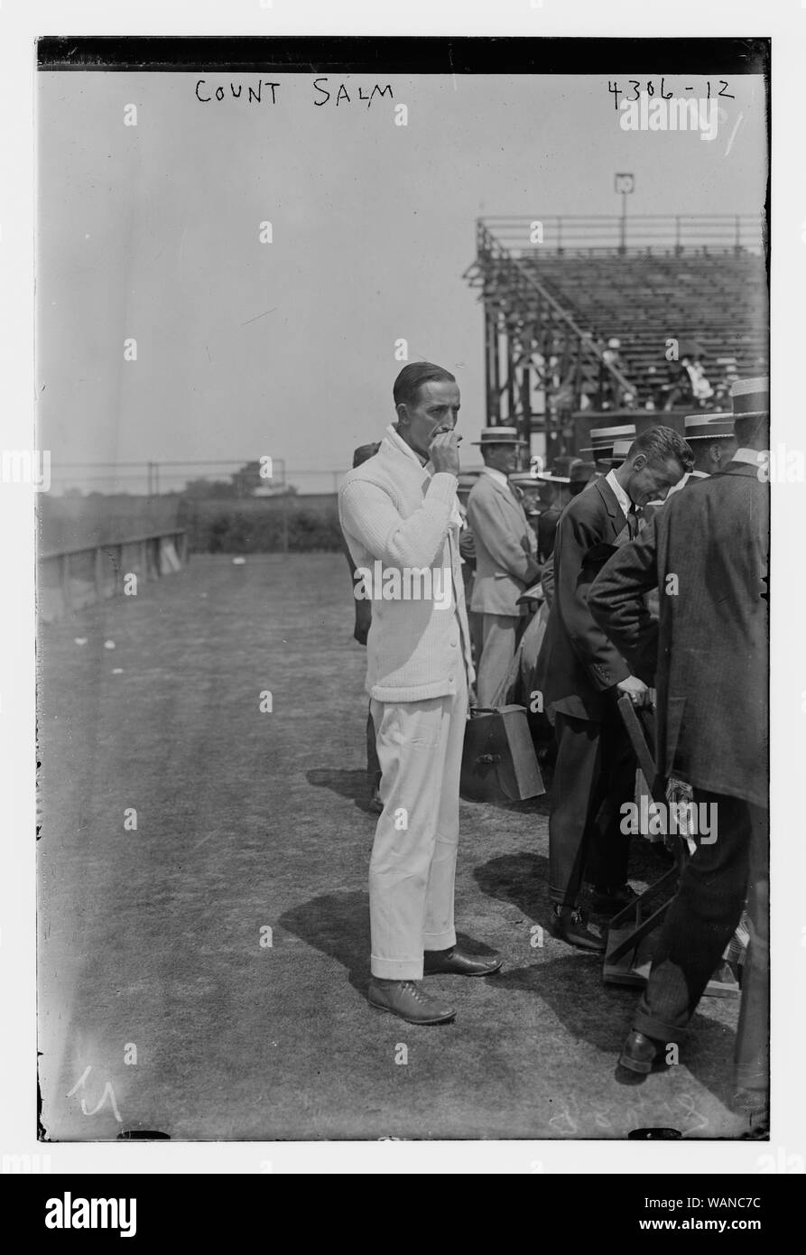 Conte Salm Foto Stock