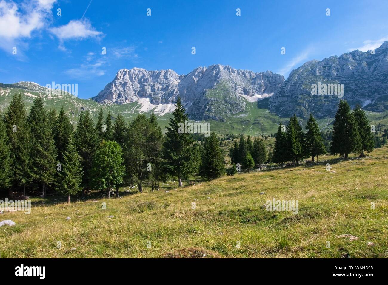 Panorama di montagna dell'altopiano del Montasio, Italia Foto Stock