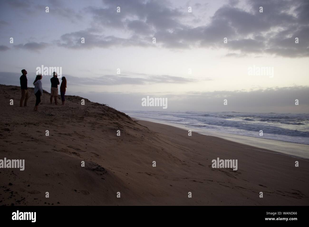 Amici prendendo in vista oceano a Polihale State Park a Kauai Foto Stock