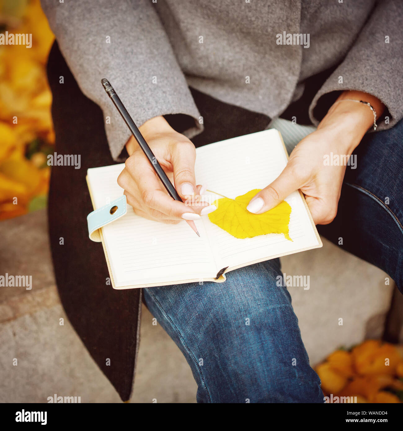 Donna di mani di close-up holding notebook carta e matita e iscritto o abbozzare qualcosa, vista da sopra, close-up Foto Stock