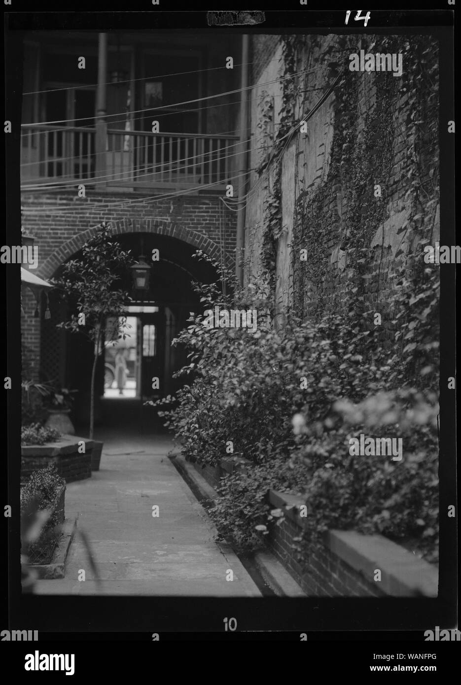Cortile, New Orleans Foto Stock
