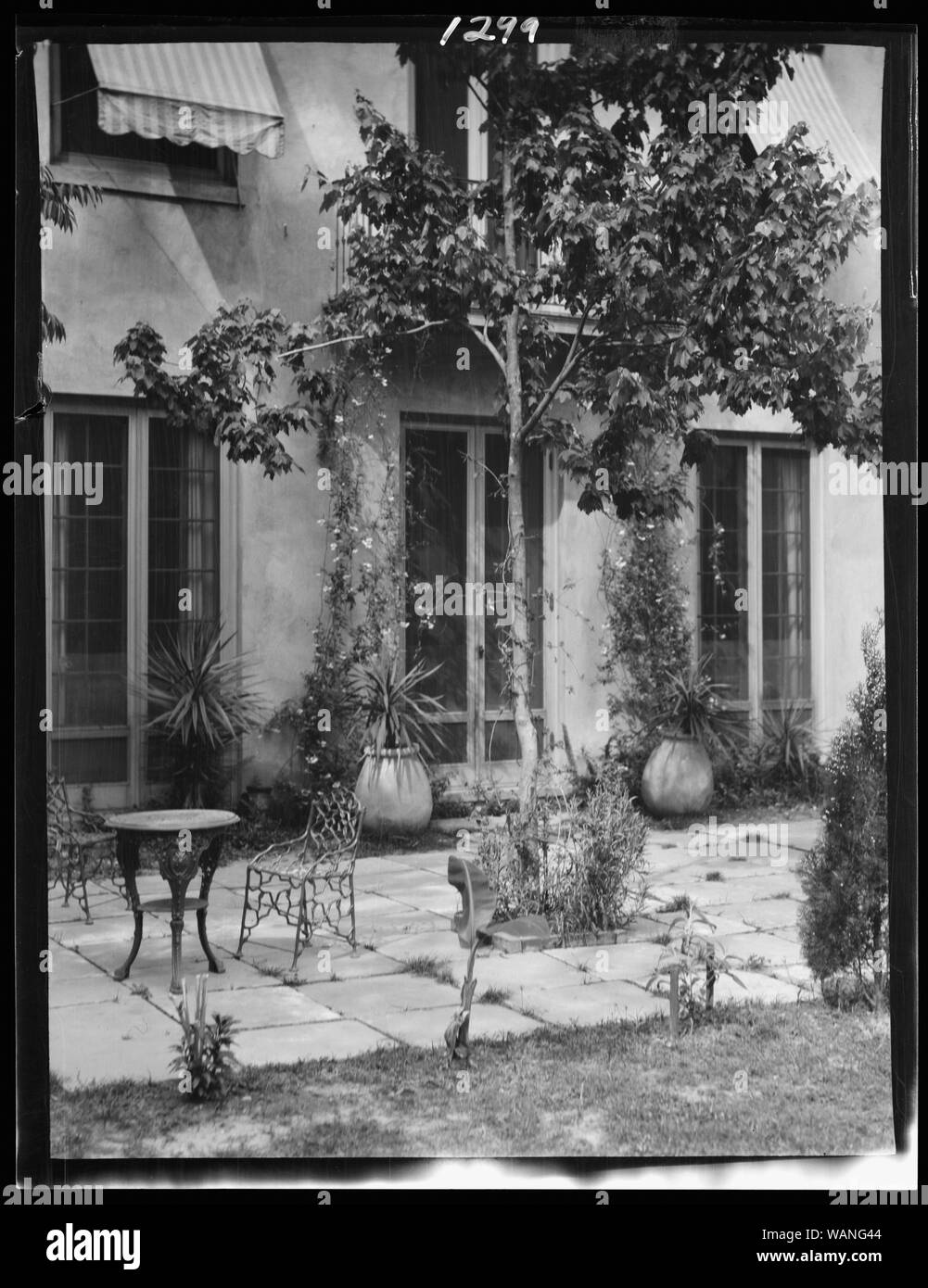 Cortile, New Orleans o Charleston, Carolina del Sud Foto Stock
