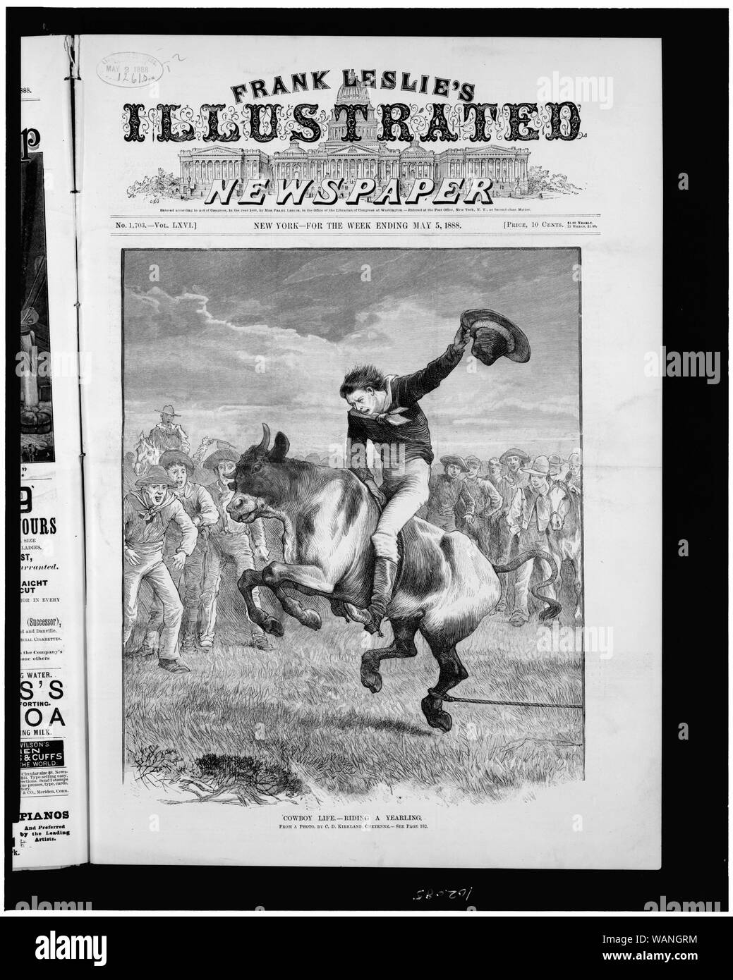 Cowboy vita -- a cavallo di un yearling / da una foto. Dalla C.D. Kirkland, Cheyenne. Foto Stock