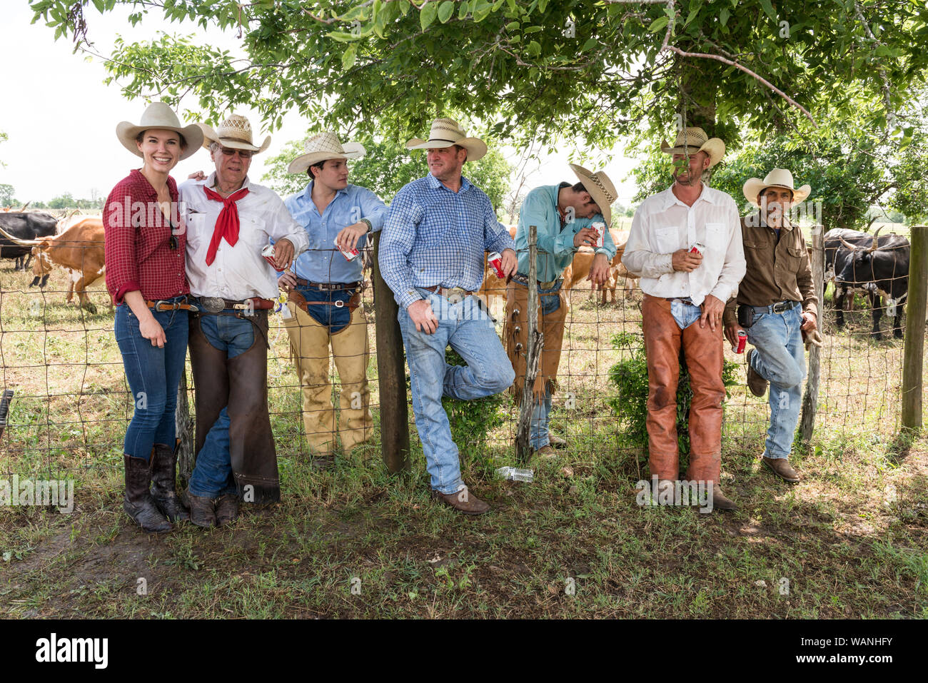 Cowhands, compresi cowgirl Lacey Elick Hollis, sinistra, prendere una pausa dal branding longhorns a 1.800 acri Lonesome Ranch di pino, un gruppo di lavoro di ranch di bestiame che è parte del Texas ranch vita ranch resort vicino Chappell Hill nella contea di Austin, Texas Foto Stock