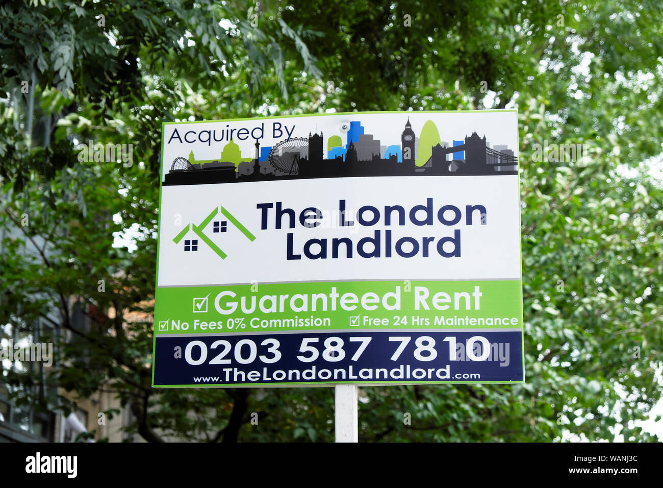 Il locatore di Londra - Agente immobiliare affitto casa segno affitto garantito al di fuori di una casa a Hackney Londra Inghilterra KATHY DEWITT Foto Stock