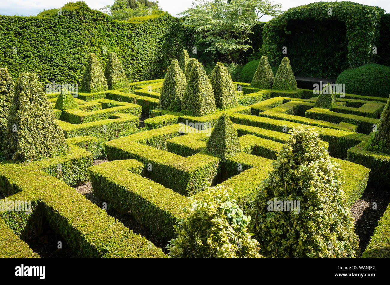 Casella di formale giardino labirinto a Bourton House in Cotswolds dando una riposante evergreen la calma di questo giardino Inglese UK Foto Stock