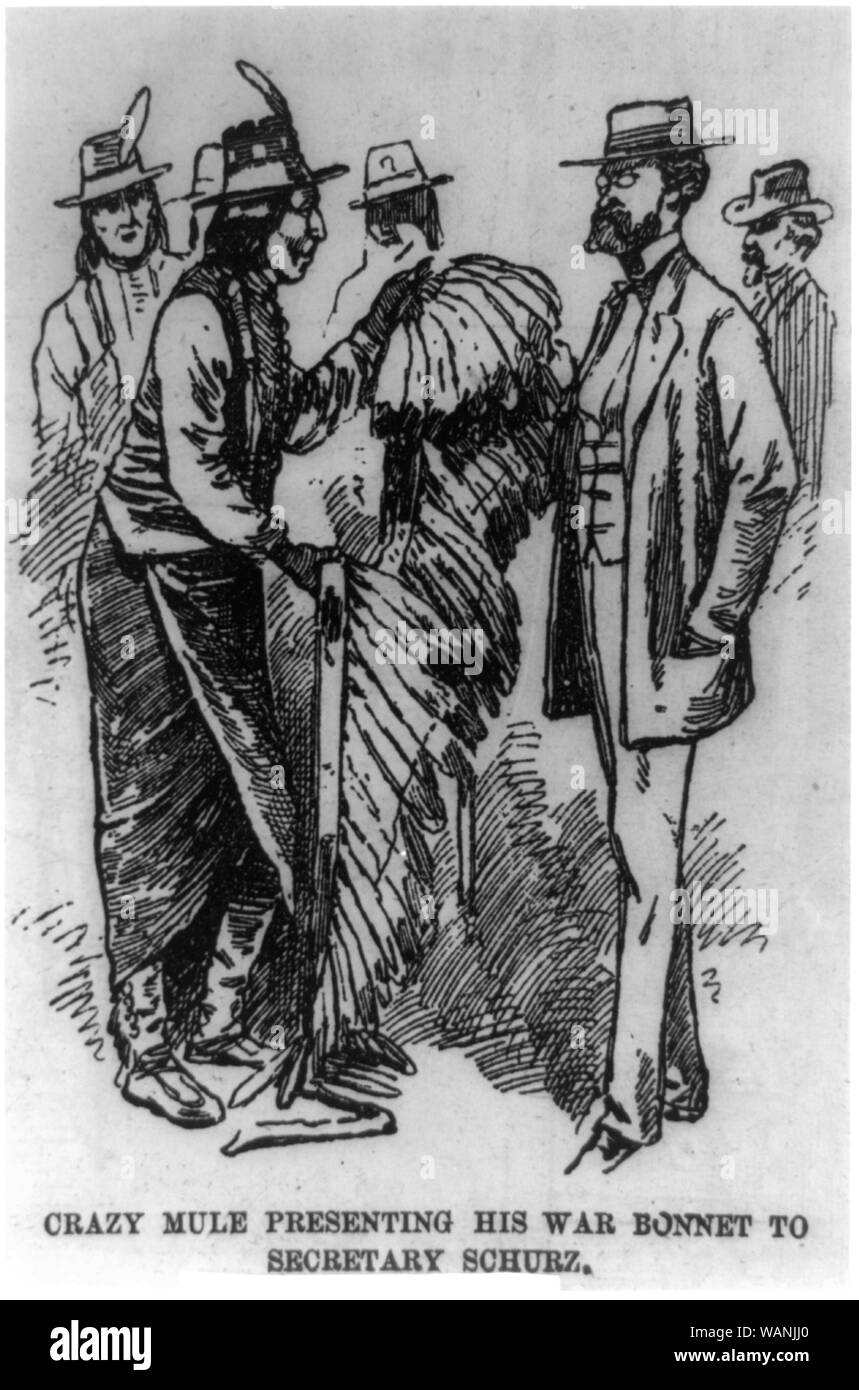 Crazy mulo presentando la sua guerra del cofano per segretario [dell'Interno Carl Schurz] Foto Stock