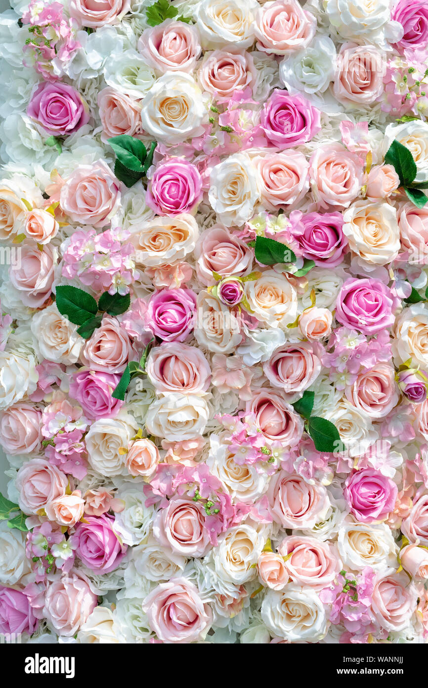 Seta artificiale roses pattern Foto Stock