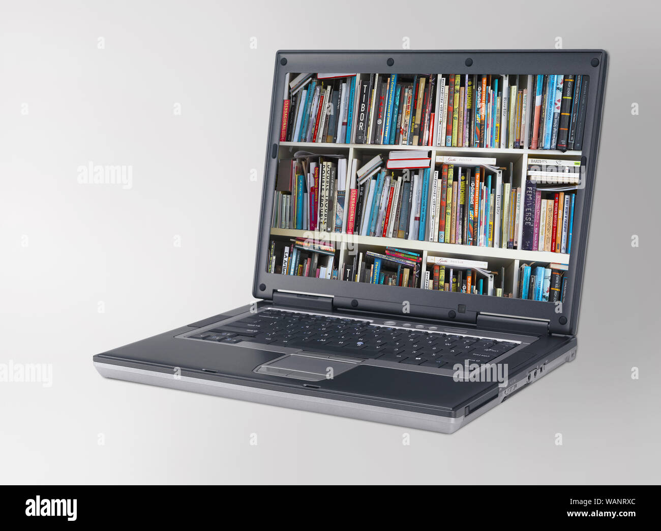 Formazione e-learning e biblioteca internet isolati su sfondo bianco Foto Stock