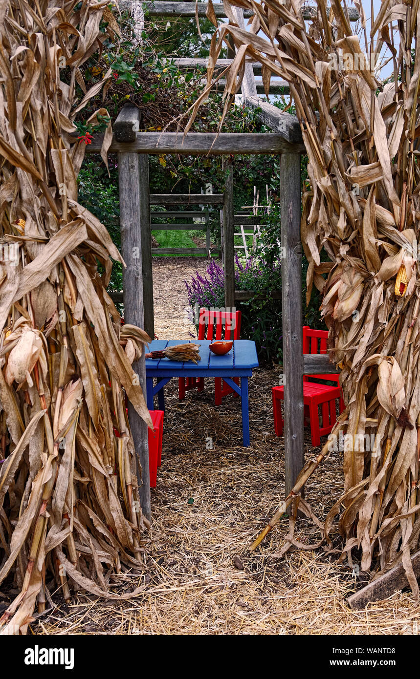 Tavolo per bambini e sedie, colorato in rosso, blu, giardino, stocchi di mais, paglia sul terreno, accogliente, autunno; Pennsylvania; verticale Foto Stock