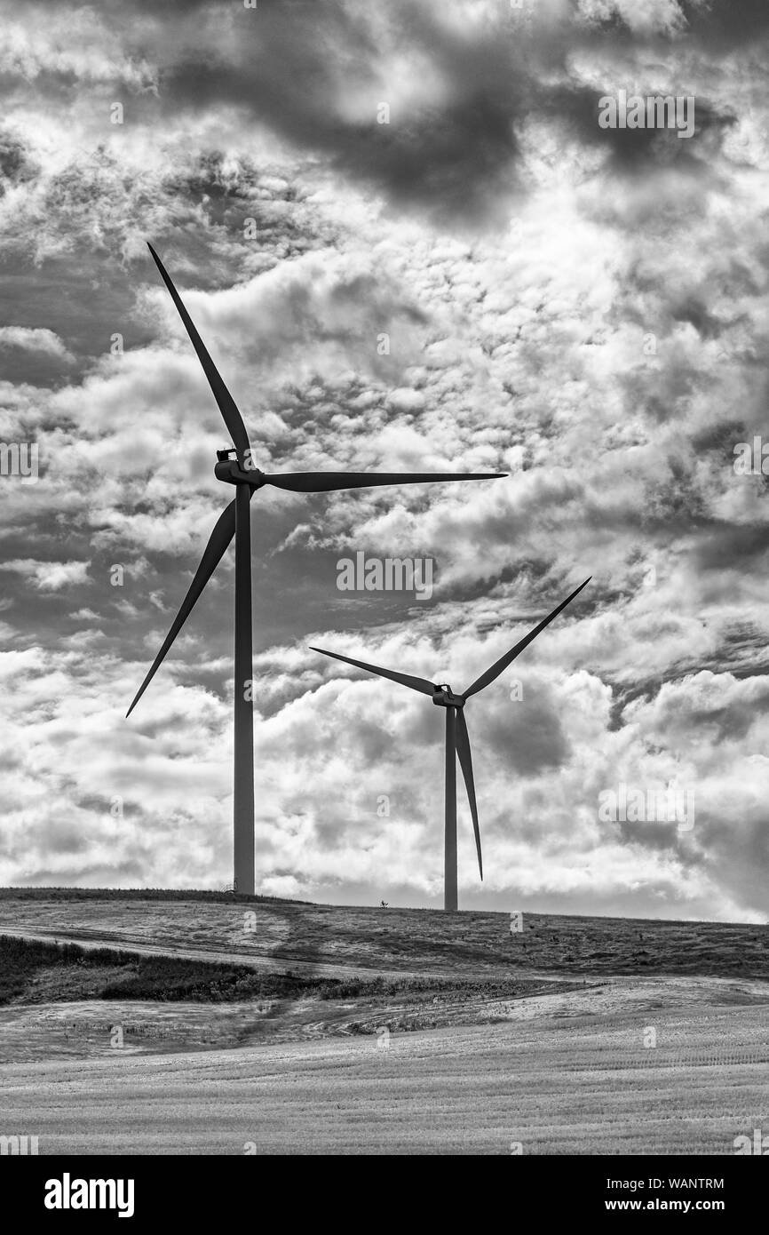 Washington, Regione Palouse, turbine eoliche, campo di grano caduta stagione dopo il raccolto, monocromatico Foto Stock