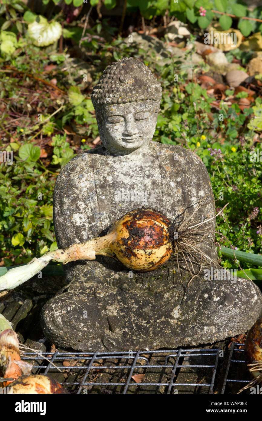 Statua Elefante Buddha Statua Grande Di Ganesh In Pietra - Foto 6