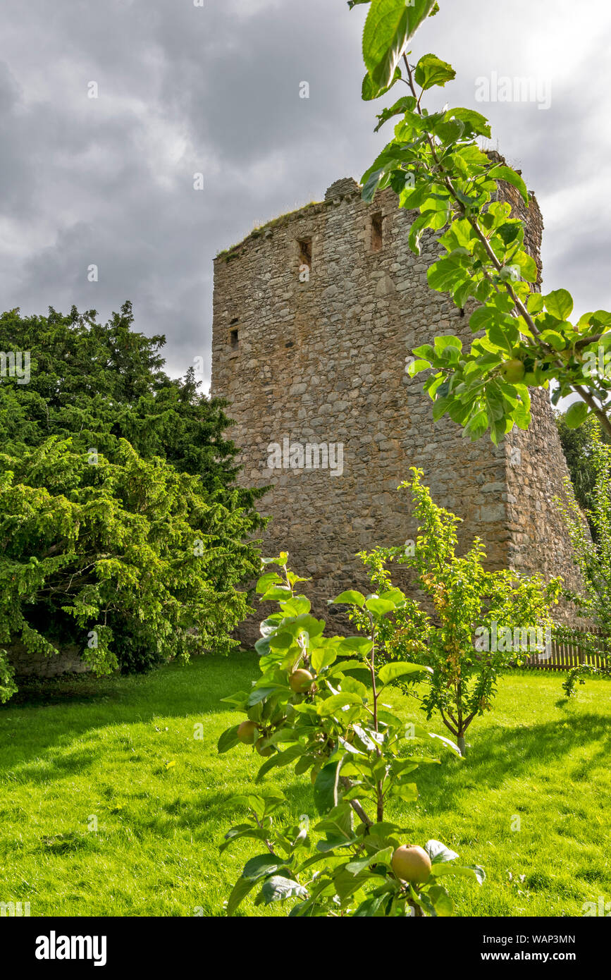 Il castello di DRUMIN GLENLIVET ESTATE MORAY Scozia esterno circondato da giovani alberi di mele in estate Foto Stock