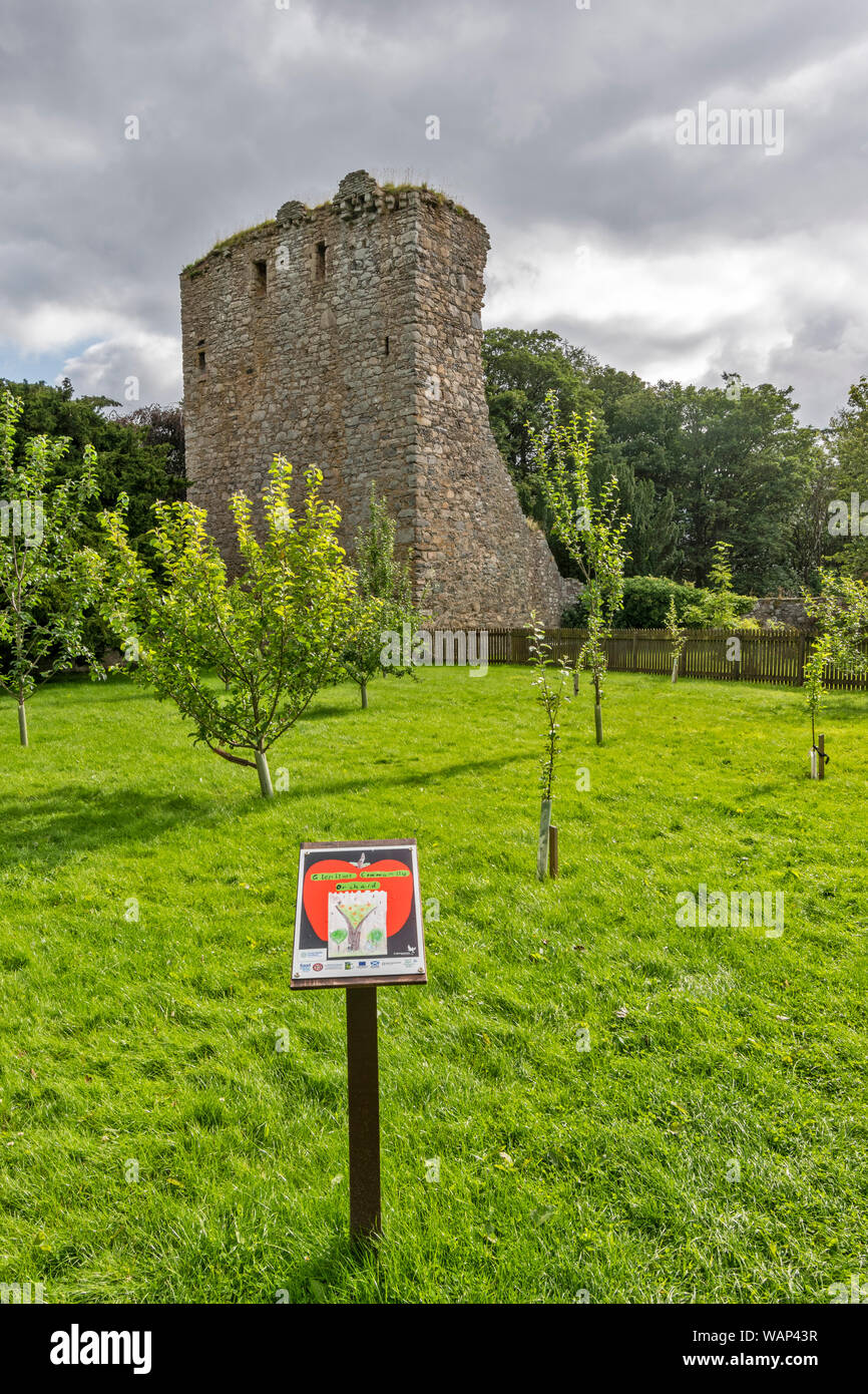 Il castello di DRUMIN GLENLIVET ESTATE MORAY SCOZIA IL CASTELLO IN PIEDI NELLA COMUNITÀ GLENLIVET Orchard Foto Stock