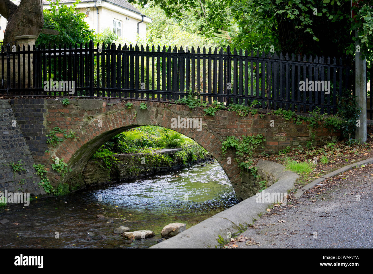 Il fiume Chelt a Charlton Kings, Gloucestershire, England, Regno Unito Foto Stock