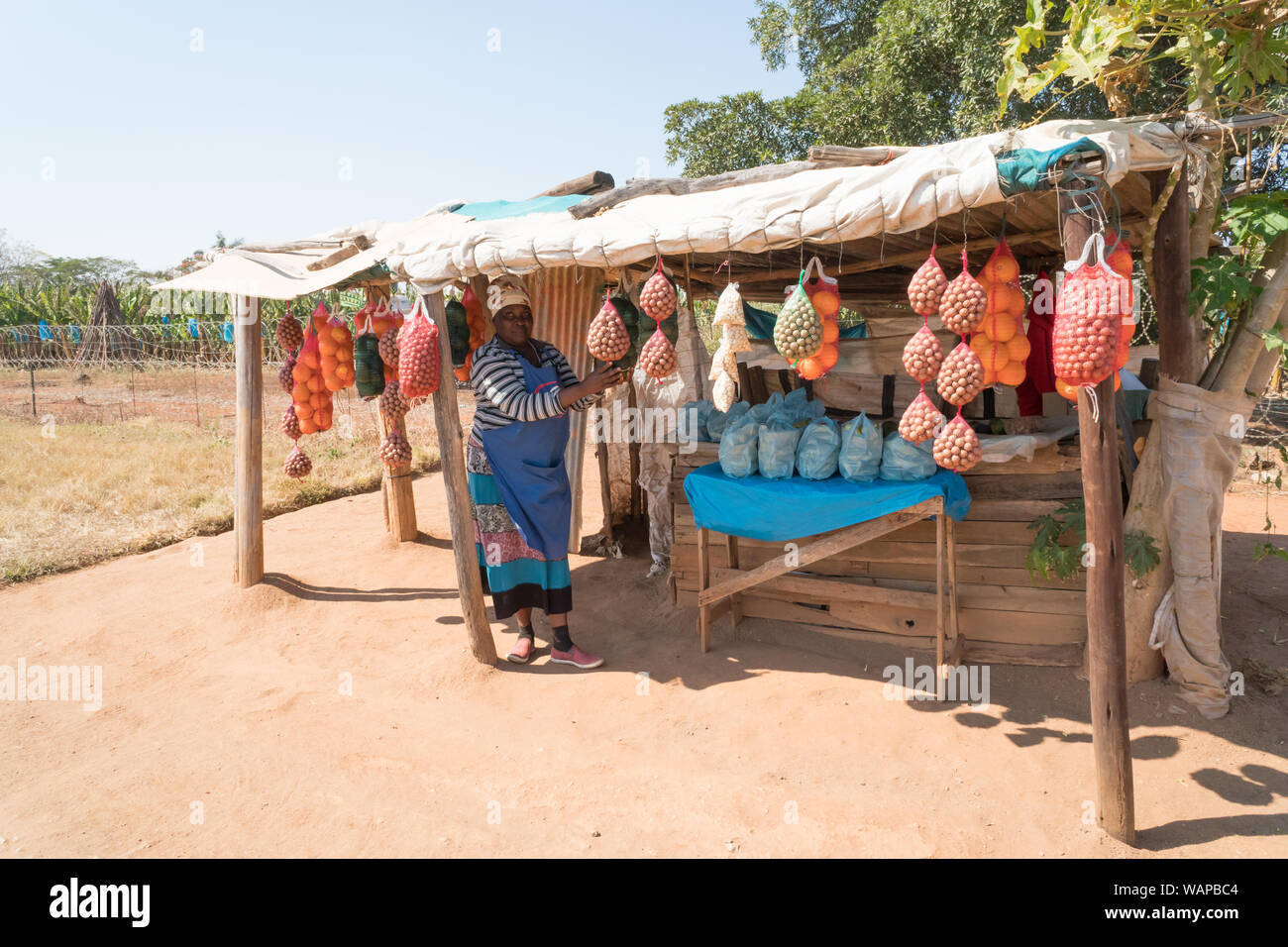 Africano nero lady donna femmina o di vendita venditore ambulante a lei la frutta e la verdura di stallo stradale in Hazyview, Mpumalanga, Sud Africa Foto Stock