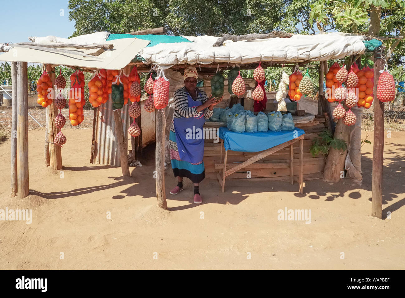 African lady donna femmina fornitore di strada a frutta e verdura in stallo su una strada di Hazyview - Mpumalanga in Sudafrica la vendita di dadi, arance, Avocadi Foto Stock