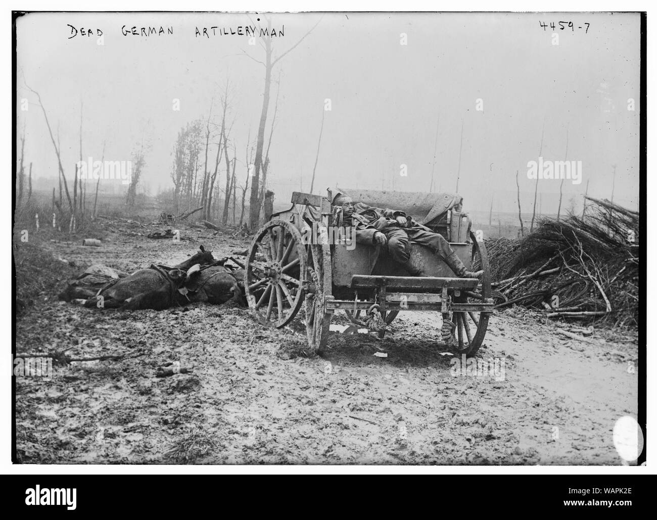 Morto Artilleryman tedesco Foto Stock