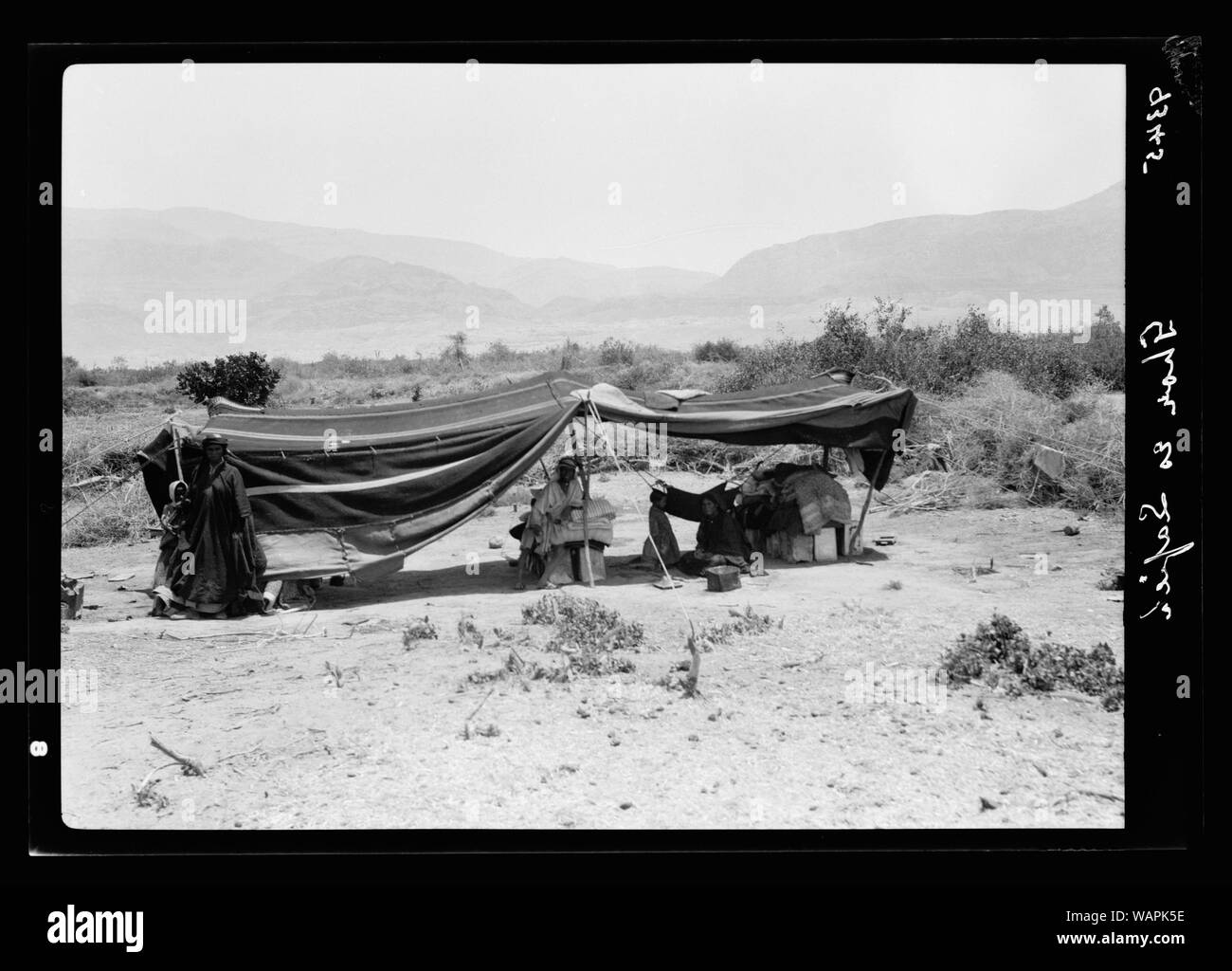 Mar Morto Album, preparato per la Palestina Potash Ltd Tenda beduina a Ghor Es Safieh guardando verso est attraverso la pianura verso Moab piede-hills Foto Stock