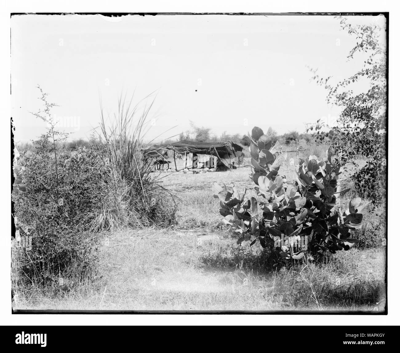 Mar morto Foto Stock