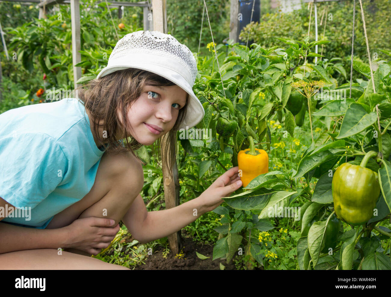 Ragazza in un cappello vicino al giardino con peperone giallo Foto Stock