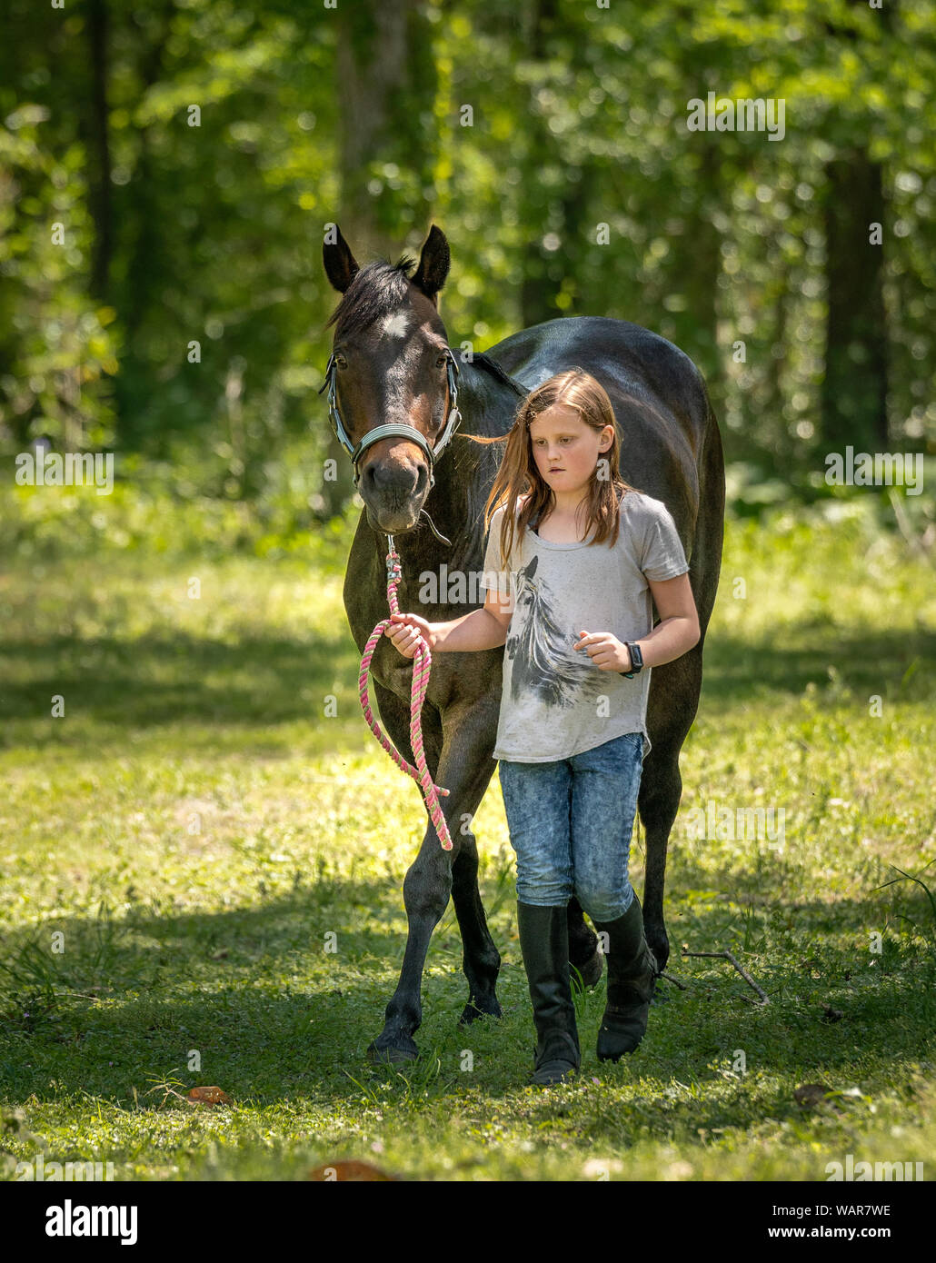 Ragazza e il suo cavallo Foto Stock