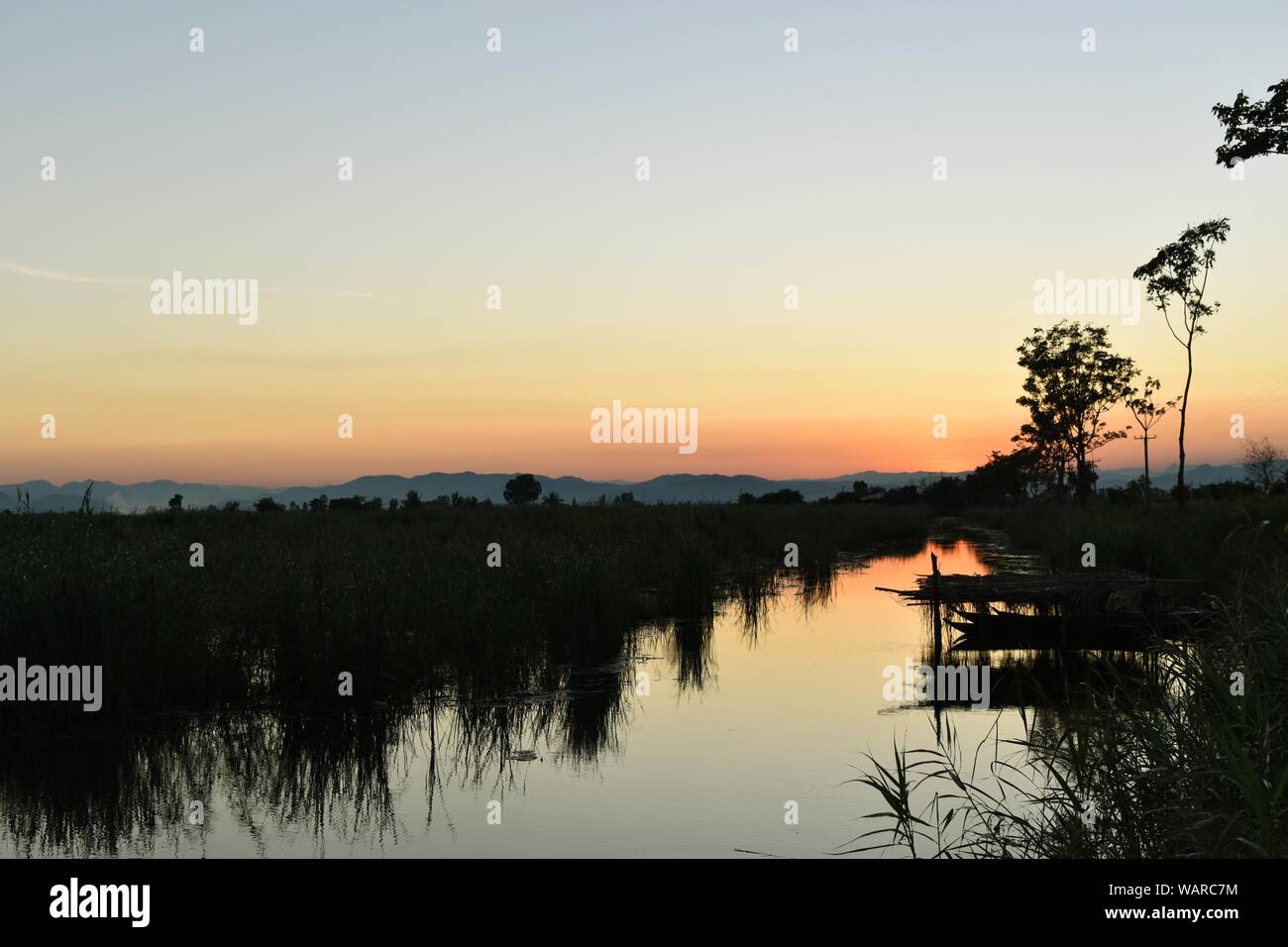 Silhouette di piante acquatiche e di barca nel lago al tramonto sullo sfondo,foto indietro - luce all'orizzonte ha cominciato a girare arancione e rosa Foto Stock