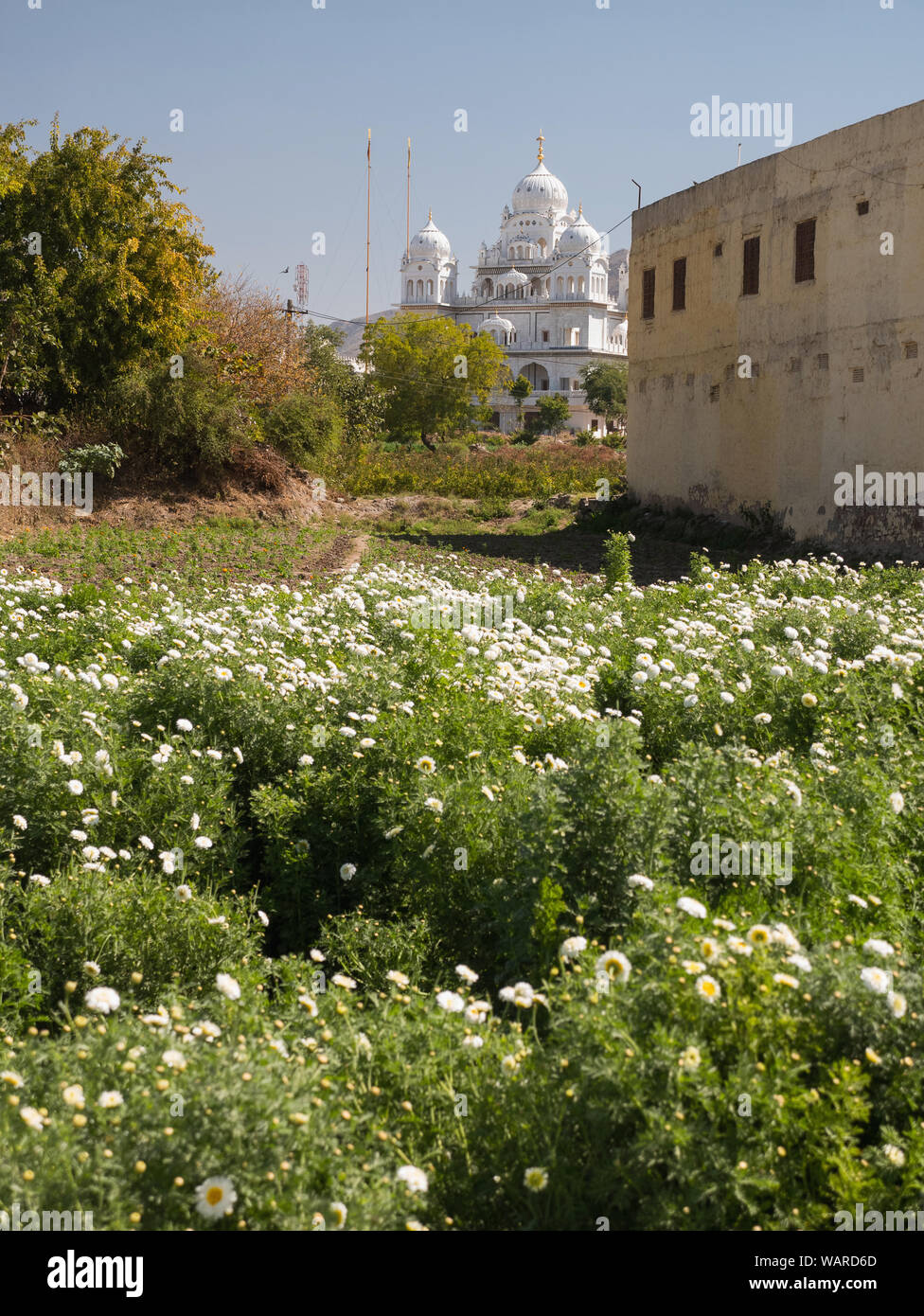Pushkar, Rajasthan, India, Asia Foto Stock