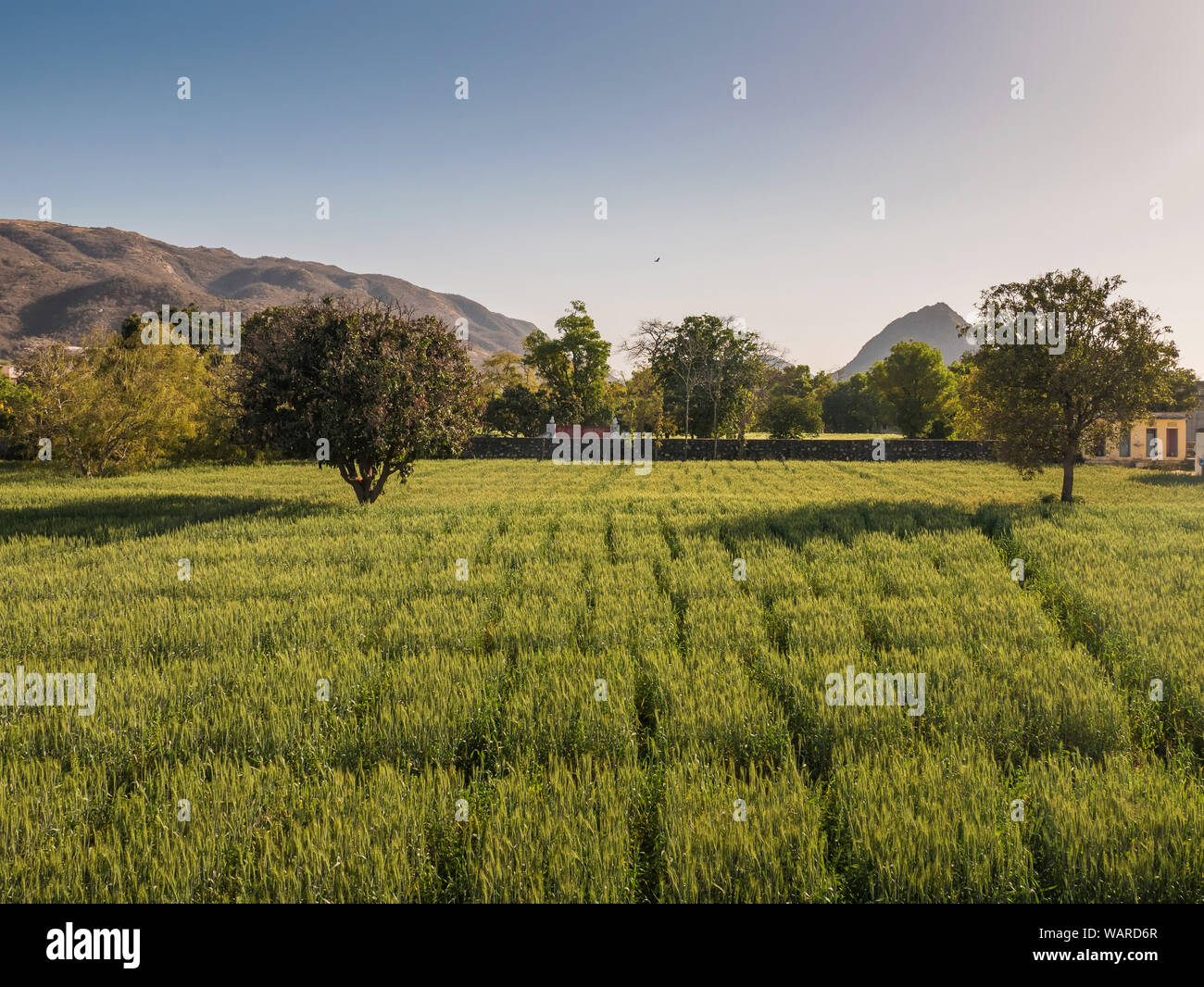 Pushkar, Rajasthan, India, Asia Foto Stock