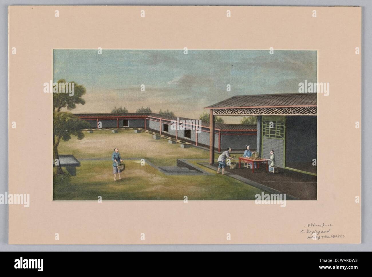 Disegno, essiccazione e tè di rotolamento, 1890-1910 Foto Stock