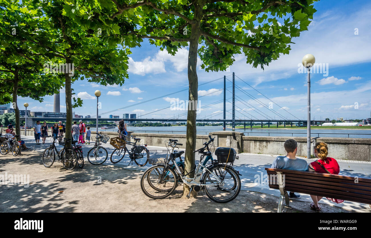 Piano di ombrosi alberi lungo il fiume Reno waterfront presso Rheinwerft, Düsseldorf, Renania settentrionale-Vestfalia, Germania Foto Stock